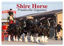Shire Horse • Prunkvolle Giganten (Tischkalender 2024 DIN A5 quer), CALVENDO Monatskalender von Stanzer,  Elisabeth