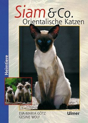 Siam & Co. Orientalische Katzen von Götz,  Eva-Maria, Wolf,  Gesine