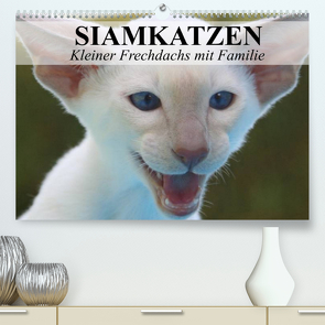 Siamkatzen – Kleiner Frechdachs mit Familie (Premium, hochwertiger DIN A2 Wandkalender 2022, Kunstdruck in Hochglanz) von Stanzer,  Elisabeth