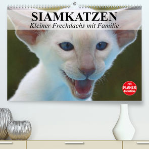 Siamkatzen – Kleiner Frechdachs mit Familie (Premium, hochwertiger DIN A2 Wandkalender 2023, Kunstdruck in Hochglanz) von Stanzer,  Elisabeth