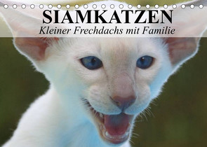 Siamkatzen – Kleiner Frechdachs mit Familie (Tischkalender 2022 DIN A5 quer) von Stanzer,  Elisabeth