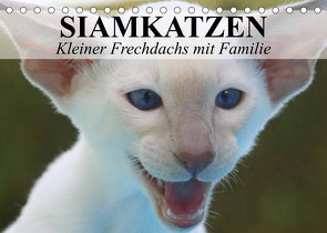Siamkatzen – Kleiner Frechdachs mit Familie (Tischkalender 2023 DIN A5 quer) von Stanzer,  Elisabeth