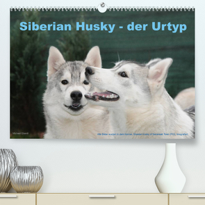 Siberian Husky – der Urtyp (Premium, hochwertiger DIN A2 Wandkalender 2023, Kunstdruck in Hochglanz) von Ebardt,  Michael