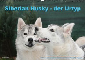 Siberian Husky – der Urtyp (Wandkalender 2019 DIN A2 quer) von Ebardt,  Michael
