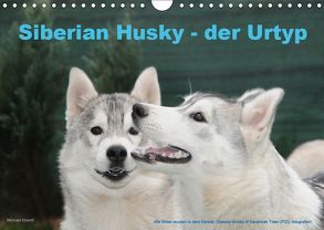 Siberian Husky – der Urtyp (Wandkalender 2019 DIN A4 quer) von Ebardt,  Michael