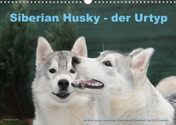 Siberian Husky – der Urtyp (Wandkalender 2023 DIN A3 quer) von Ebardt,  Michael