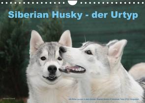 Siberian Husky – der Urtyp (Wandkalender 2023 DIN A4 quer) von Ebardt,  Michael