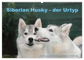 Siberian Husky – der Urtyp (Wandkalender 2024 DIN A2 quer), CALVENDO Monatskalender von Ebardt,  Michael