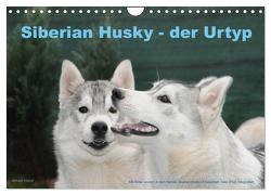 Siberian Husky – der Urtyp (Wandkalender 2024 DIN A4 quer), CALVENDO Monatskalender von Ebardt,  Michael