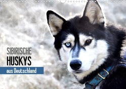 Sibirische Huskys aus Deutschland (Wandkalender 2023 DIN A3 quer) von Hentschel,  Andrea