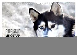Sibirische Huskys aus Deutschland (Wandkalender 2024 DIN A4 quer), CALVENDO Monatskalender von Hentschel,  Andrea