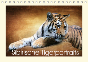 Sibirische Tigerportraits (Tischkalender 2021 DIN A5 quer) von Hultsch,  Heike