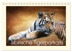 Sibirische Tigerportraits (Tischkalender 2024 DIN A5 quer), CALVENDO Monatskalender von Hultsch,  Heike