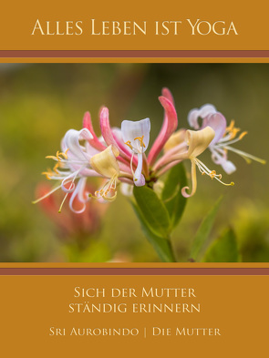 Sich der Mutter ständig erinnern von Aurobindo,  Sri, Mutter,  Die (d.i. Mira Alfassa)