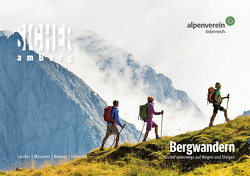 Sicher am Berg: Bergwandern von Habernig,  Magdalena, Larcher,  Michael, Mössmer,  Gerhard, Österr. Alpenverein, Wanner,  Thomas