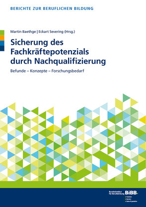 Sicherung des Fachkräftepotenzials durch Nachqualifizierung von Baethge,  Martin, BIBB Bundesinstitut für Berufsbildung, Severing,  Eckart