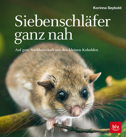 Siebenschläfer ganz nah von Seybold,  Korinna