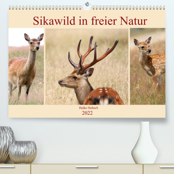Sikawild in freier Natur (Premium, hochwertiger DIN A2 Wandkalender 2022, Kunstdruck in Hochglanz) von Hultsch,  Heike