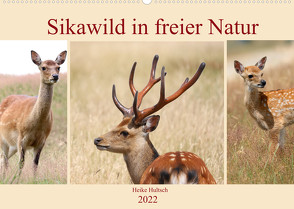 Sikawild in freier Natur (Wandkalender 2022 DIN A2 quer) von Hultsch,  Heike
