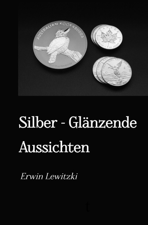 Silber – Glänzende Aussichten von Lewitzki,  Erwin