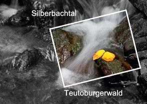 Silberbachtal Teutoburgerwald (Posterbuch DIN A2 quer) von Hobscheidt,  Ernst