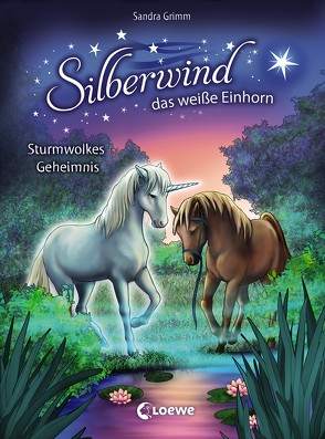 Silberwind, das weiße Einhorn 4 – Sturmwolkes Geheimnis von Christoph,  Silvia, Grimm,  Sandra