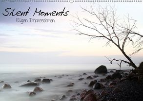 Silent Moments (Wandkalender 2018 DIN A2 quer) von Lehmann,  Heiko