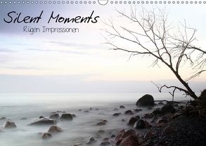 Silent Moments (Wandkalender 2018 DIN A3 quer) von Lehmann,  Heiko