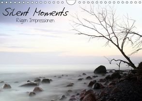 Silent Moments (Wandkalender 2019 DIN A4 quer) von Lehmann,  Heiko