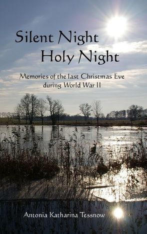 Silent Night, Holy Night von Tessnow,  Antonia Katharina