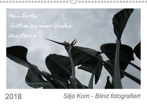 Silja Korn – Blind fotografiert (Wandkalender 2018 DIN A3 quer) von Korn,  Silja