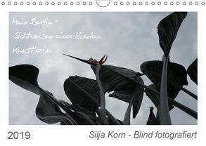 Silja Korn – Blind fotografiert (Wandkalender 2019 DIN A4 quer) von Korn,  Silja