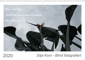 Silja Korn – Blind fotografiert (Wandkalender 2020 DIN A3 quer) von Korn,  Silja