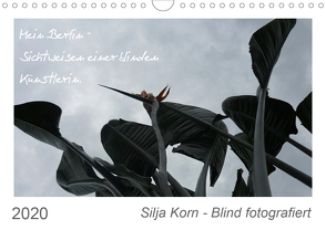Silja Korn – Blind fotografiert (Wandkalender 2020 DIN A4 quer) von Korn,  Silja