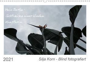 Silja Korn – Blind fotografiert (Wandkalender 2021 DIN A3 quer) von Korn,  Silja