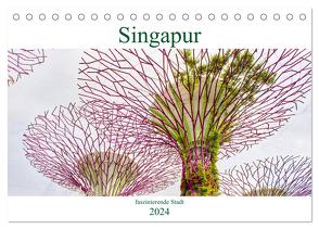 Singapur – faszinierende Stadt (Tischkalender 2024 DIN A5 quer), CALVENDO Monatskalender von Schwarze,  Nina
