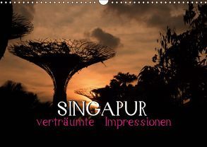 Singapur – verträumte Impressionen (Wandkalender 2019 DIN A3 quer) von Stewart Lustig,  Daniel