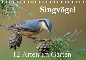 Singvögel – 12 Arten im Garten (Tischkalender 2020 DIN A5 quer) von birdimagency,  BIA
