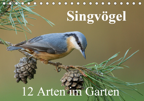 Singvögel – 12 Arten im Garten (Tischkalender 2021 DIN A5 quer) von birdimagency,  BIA