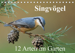 Singvögel – 12 Arten im Garten (Tischkalender 2022 DIN A5 quer) von birdimagency,  BIA