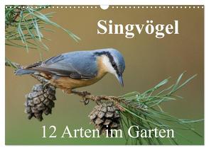 Singvögel – 12 Arten im Garten (Wandkalender 2024 DIN A3 quer), CALVENDO Monatskalender von birdimagency,  BIA