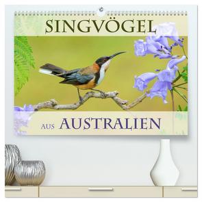 Singvögel aus Australien (hochwertiger Premium Wandkalender 2024 DIN A2 quer), Kunstdruck in Hochglanz von birdimagency,  BIA