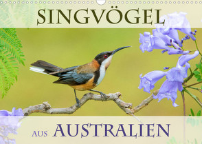 Singvögel aus Australien (Wandkalender 2023 DIN A3 quer) von birdimagency,  BIA