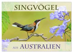 Singvögel aus Australien (Wandkalender 2024 DIN A2 quer), CALVENDO Monatskalender von birdimagency,  BIA