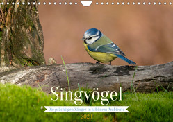 SINGVÖGEL – Die prächtigen Sänger in schönem Ambiente. (Wandkalender 2023 DIN A4 quer) von Wünsche,  Arne