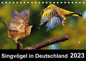 Singvögel in Deutschland (Tischkalender 2023 DIN A5 quer) von Klapp,  Lutz