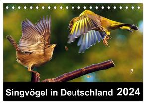 Singvögel in Deutschland (Tischkalender 2024 DIN A5 quer), CALVENDO Monatskalender von Klapp,  Lutz