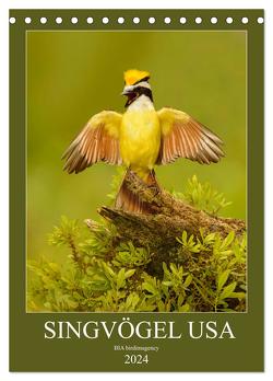 Singvögel USA (Tischkalender 2024 DIN A5 hoch), CALVENDO Monatskalender von birdimagency,  BIA