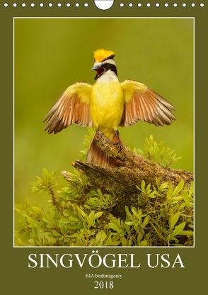 Singvögel USA (Wandkalender 2018 DIN A4 hoch) von birdimagency,  BIA