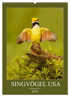 Singvögel USA (Wandkalender 2024 DIN A2 hoch), CALVENDO Monatskalender von birdimagency,  BIA